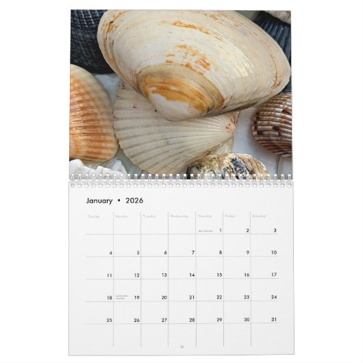 Florida Seashell Fotografie Kalendar Volume 2 Kalender (Jan 2026)
