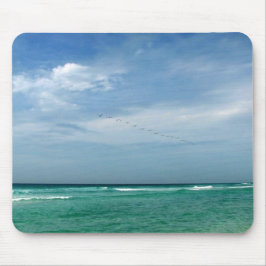 Florida Seashore Muismat