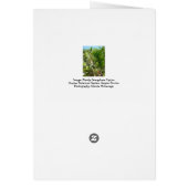 Florida Semaphore Cactus Napels Botanische Garden (Achterkant)