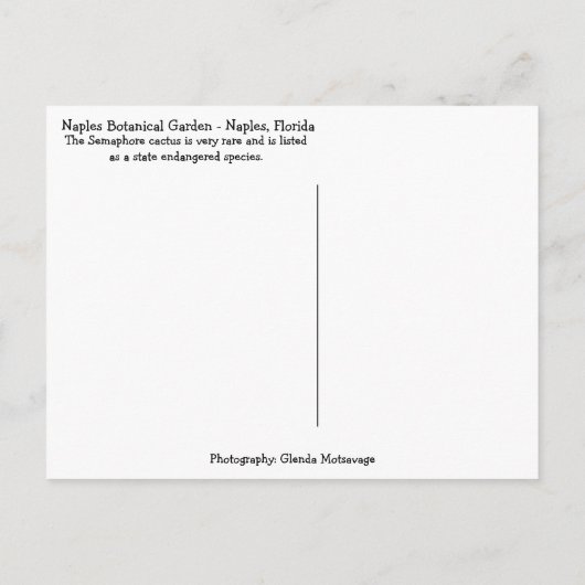 Florida Semaphore Cactus Napels Botanische Garden Briefkaart (Achterkant)