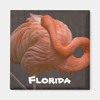 Florida Shy Flamingo Magneet