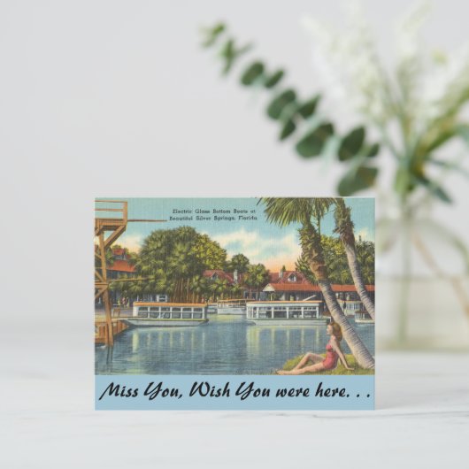 Florida, Silver Springs Briefkaart (Staand voorkant)