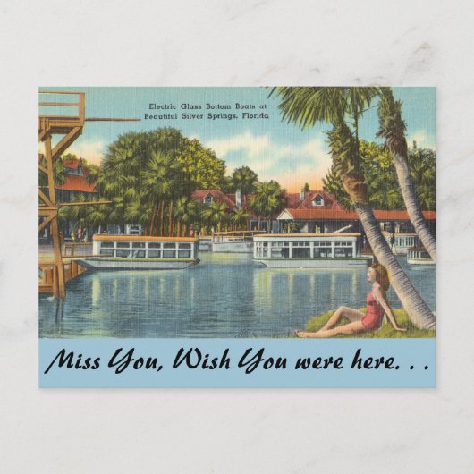 Florida, Silver Springs Briefkaart (Voorkant)