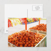 Florida Sinaasappels Briefkaart (Voorkant / Achterkant)