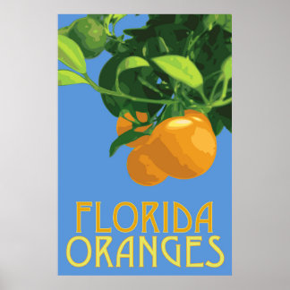 Florida Sinaasappels Fruit Poster 24 x 36