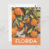 Florida sinaasappels  illustratie briefkaart (Voorkant / Achterkant)