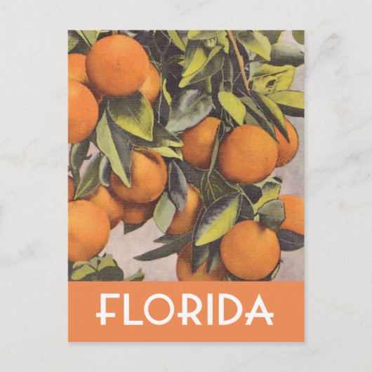 Florida sinaasappels  illustratie briefkaart (Voorkant)
