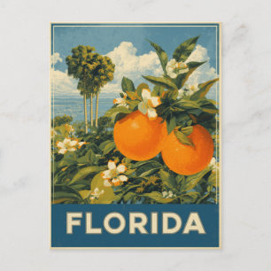 Florida Sinaasappels Vintage Reizen Briefkaart