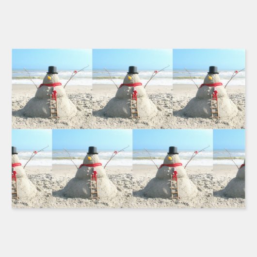 Florida Sneeuwman en Elf - Papieren vellen inpakke (Voorkant)