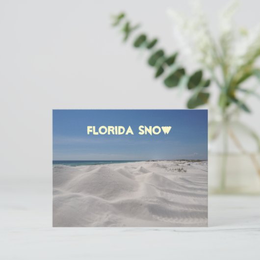 Florida Snow Briefkaart (Staand voorkant)