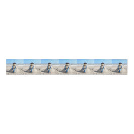 Florida Snowman - Beach Sand Sculpture Ribbon Grosgrain Lint
