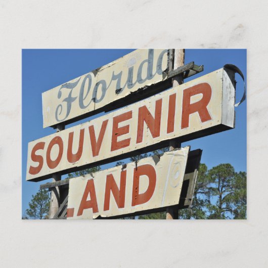 Florida Souvenir Land  Sign Briefkaart (Voorkant)