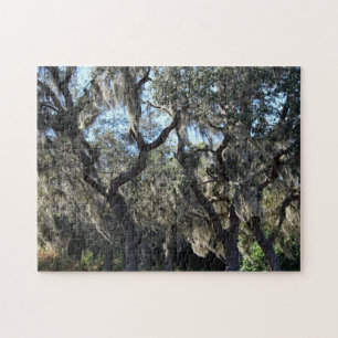 Florida Spaans Moss Legpuzzel