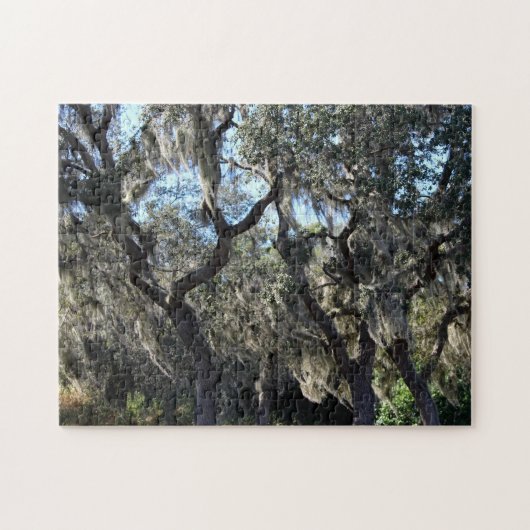 Florida Spaans Moss Legpuzzel (Horizontaal)