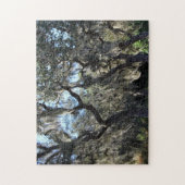 Florida Spaans Moss Legpuzzel (Verticaal)
