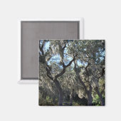 Florida Spaans Moss Magneet (Voorkant / Achterkant)