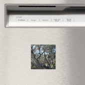 Florida Spaans Moss Magneet (Insitu (Vaatwasser))