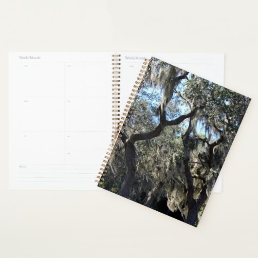 Florida Spaans Moss Planner (Display)