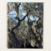 Florida Spaans Moss Planner (Voorkant)