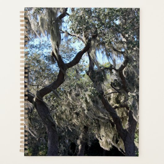 Florida Spaans Moss Planner (Voorkant)