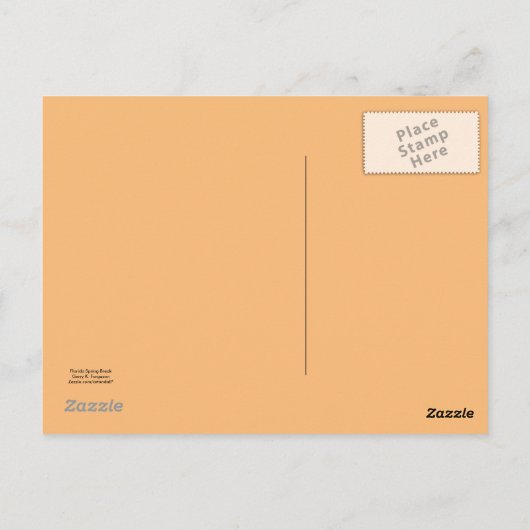 "FLORIDA SPRING BREAK BRIEFKAART 2024 (Achterkant)