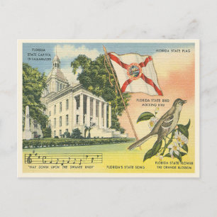 Florida staatssymbolen  Tallahassee Briefkaart