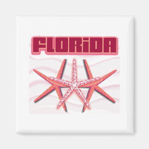 Florida Starfish Magneet