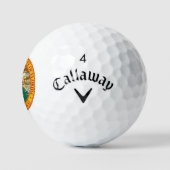 Florida State 12 Callaway golfballen (Logo)
