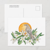 Florida State Bird and Flower Briefkaart (Voorkant / Achterkant)