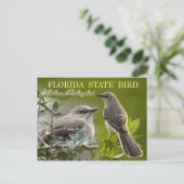 Florida State Bird - Mockingbird Briefkaart (Staand voorkant)