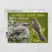 Florida State Bird - Mockingbird Briefkaart (Voorkant / Achterkant)