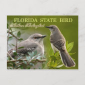 Florida State Bird - Mockingbird Briefkaart (Voorkant)