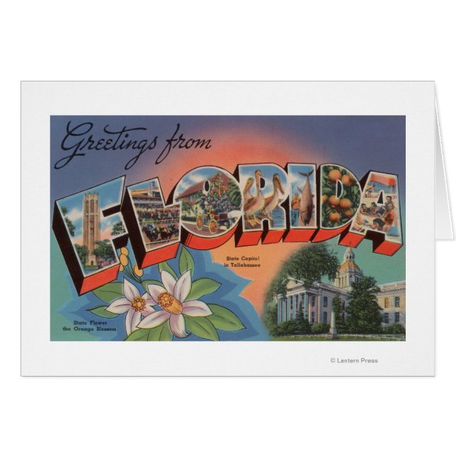 Florida (State Capital Scene) (Voorkant Horizontaal)