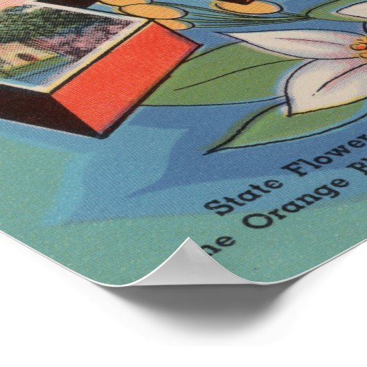 Florida (State Capital Scene) Poster (Hoek)