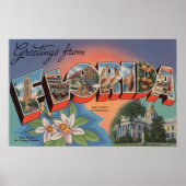 Florida (State Capital Scene) Poster (Voorkant)