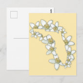 Florida State Flower Briefkaart (Voorkant / Achterkant)