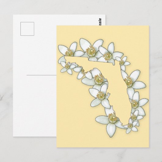 Florida State Flower Briefkaart (Voorkant / Achterkant)