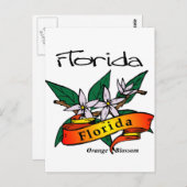 Florida State Flower Oranje Blossom Briefkaart (Voorkant / Achterkant)