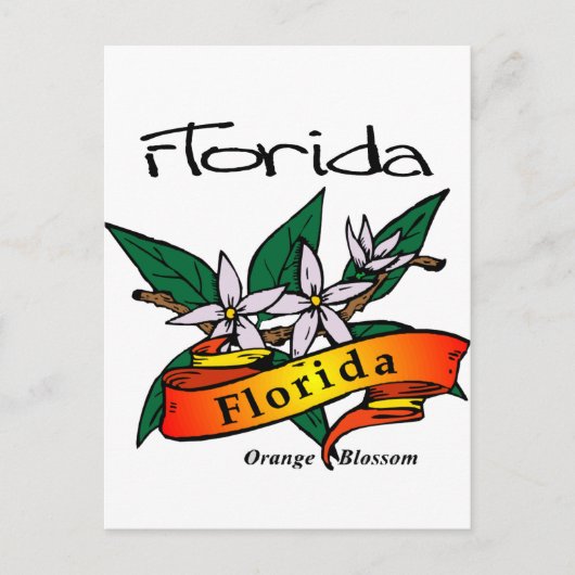 Florida State Flower Oranje Blossom Briefkaart (Voorkant)
