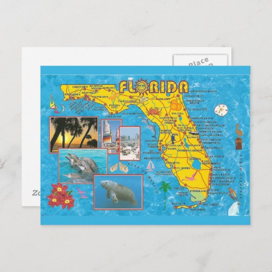 Florida State Map Briefkaart (Voorkant / Achterkant)