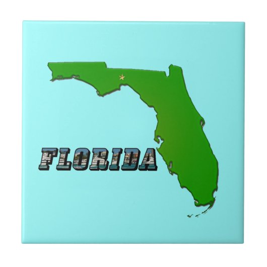 Florida State Map en Text Tegeltje (Voorkant)