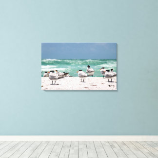 Florida sterns op witte zandige Florida-strand Canvas Afdruk