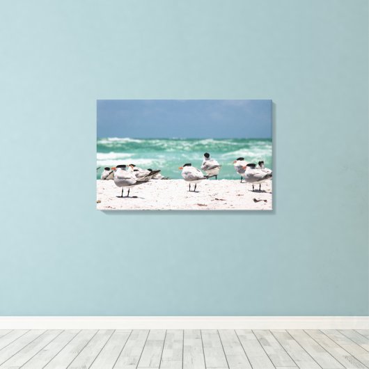 Florida sterns op witte zandige Florida-strand Canvas Afdruk (Insitu (Houten vloer))