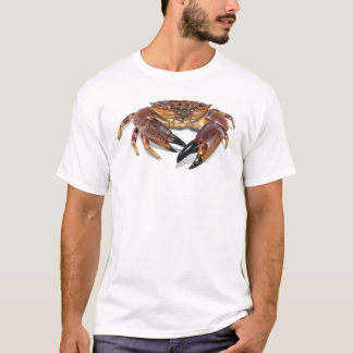 Florida stone crab t-shirt