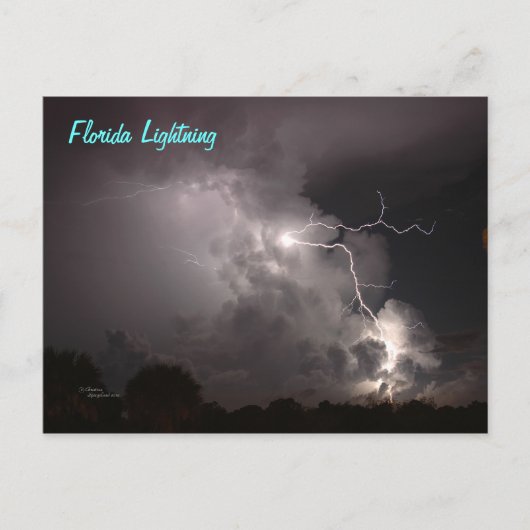 Florida Storm Lightning Briefkaart (Voorkant)