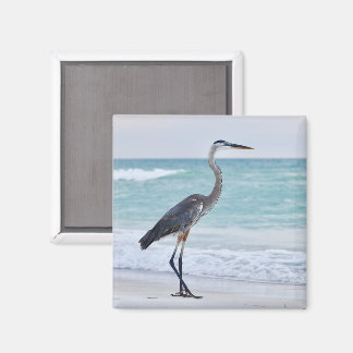 Florida strand vogels magneet