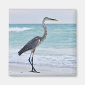 Florida strand vogels magneet (Voorkant)