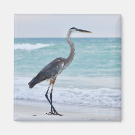 Florida strand vogels magneet
