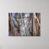 Florida Strangler Fig Canvas Afdruk (Voorkant)