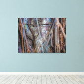 Florida Strangler Fig Canvas Afdruk (Insitu (Houten vloer))